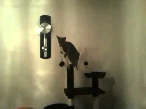 Roslin aka Princess Panarai wrecking my clock...