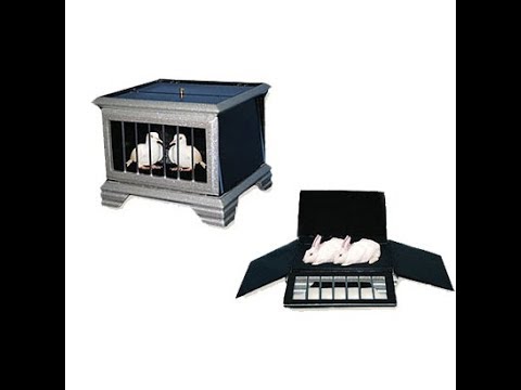 Automatic Dove to rabbit Cage - Tora