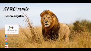 Afro remix by Les Wanyika