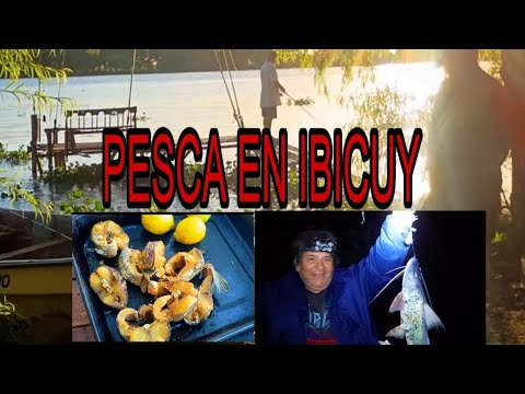 pesca supervivencia ( El desafío )💪🎣💯 Ibicuy entré ríos 