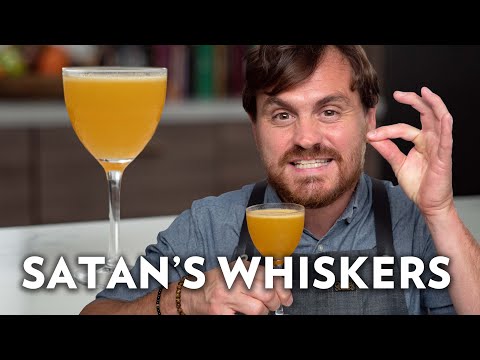 Satan’s Whiskers – The Educated Barfly