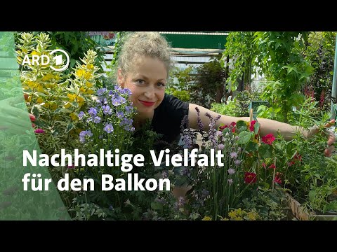 Balkon gestalten: Blumen, Naschobst und winterharte Pflanzen | MDR Garten