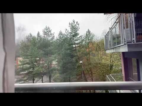 Daily routine with Fausta Sostakaite #1