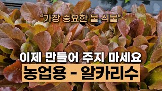 알카리수를 아시나요 #에너지농법 #탄소농업 #유기농업 #환경농업 #자연농업