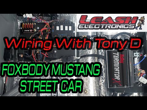 Holley Terminator X With Leash Electronics Custom  DIY Wiring Foxbody Mustang STREET CAR Tips & Trix