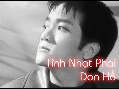 Tình Nhạt Phai - Don Hồ | Nhạc trữ tình hay