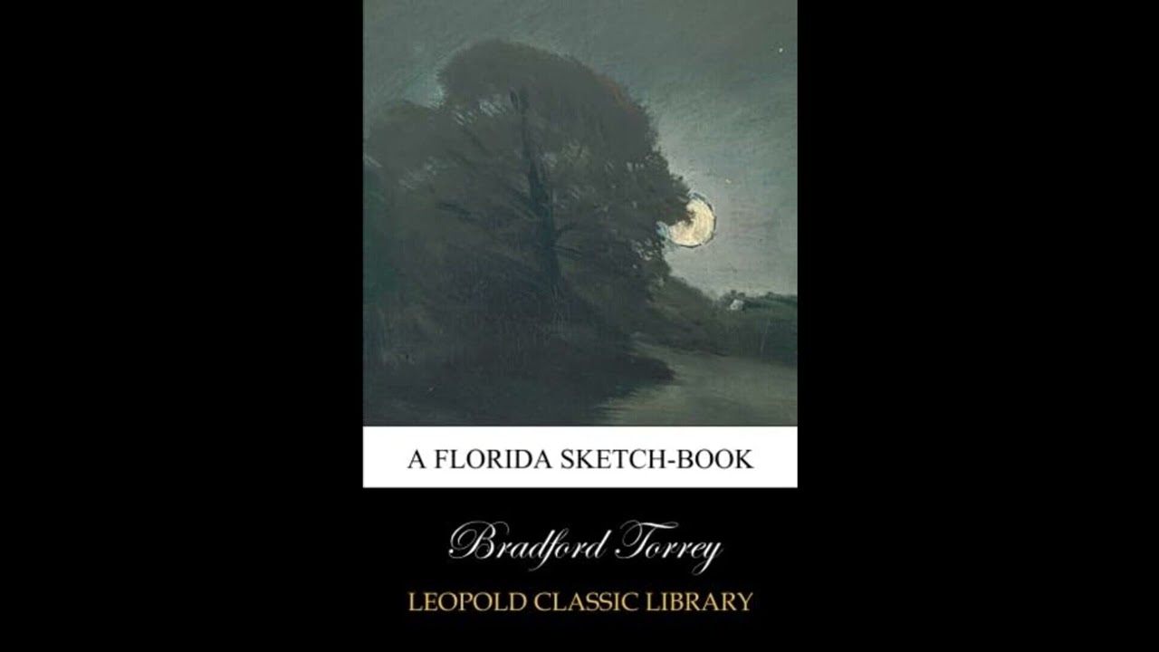 A Florida sketch-book