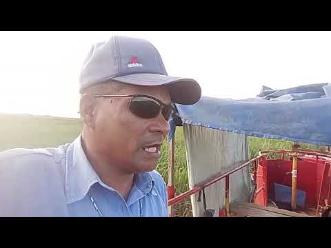 CANAL CICERO PRANCHETA DIRETO DÁ FAZENDA JARDIM MESSIAS AL 25 07 26 