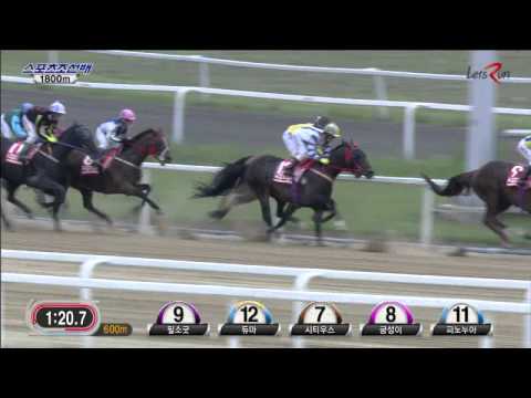 Sports Chosun Cup 2014 - Geumseongi