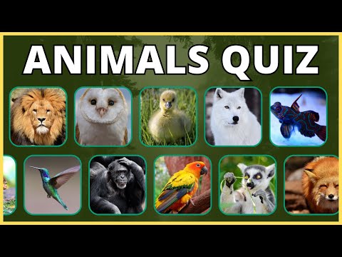 Test Your Knowledge- Weird Animals Quiz - Take the 20 Question Quiz Now
