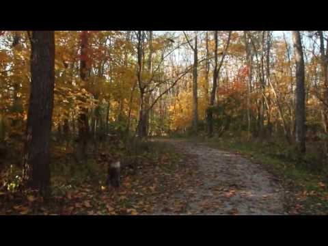 Laing P-04 Stabilizer Test Footage