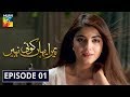 Tera Yahan Koi Nahin Episode 1 HUM TV Drama 30 December 2019