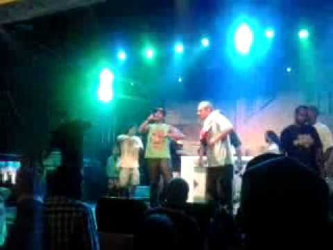 Vandal familia Ugangue