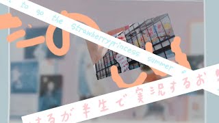 Vlog4  2022の夏の思い出┊︎夏休みに行った🍓文化祭の様子を動画にしてみました❕