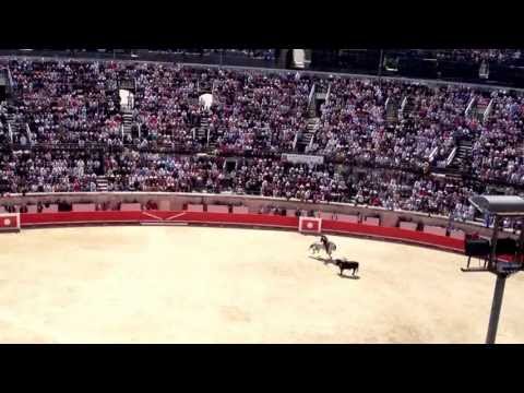 La Féria de Nîmes 2013 : Bullfighting.