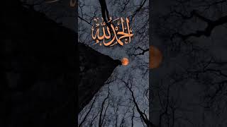 Download lagu Surah anbiya with urdu translation#quran #recitationofquran mp3 Download lagu Surah anbiya with urdu translation#quran #recitationofquran mp3