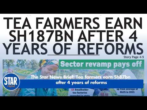The Star News Brief: Tea farmers earn Sh87bn after 4 years of reforms