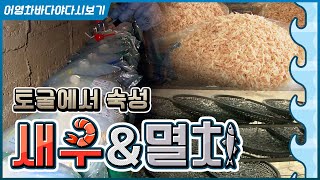 우리 없었으면 요리 어쩔 뻔? 밥상 최우수 조연상 새우& 멸치. #멸치볶음 멸피조림 멸치튀김 새우 요리 멸치…