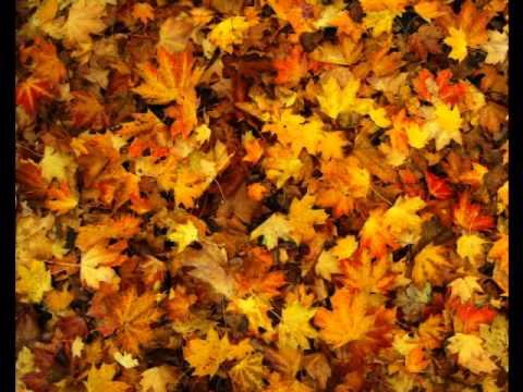 leaves rustling - sound effect