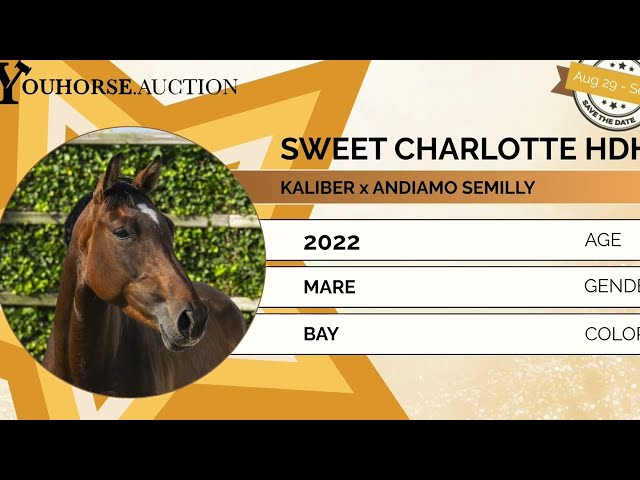 Sweet Charlotte HDH