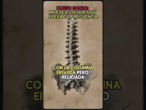 Hueso Sacro 😱La Clave Secreta para Elevar Tu Energía