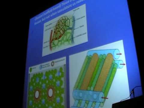 SENS4 - Organ Engineering By Bioprinting (1/3)
