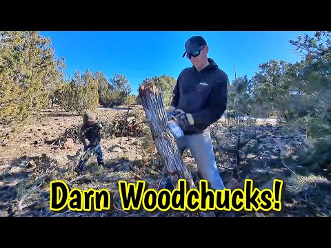 Clearing RAW Land for a Driveway | FAMILY of 6 Works Together