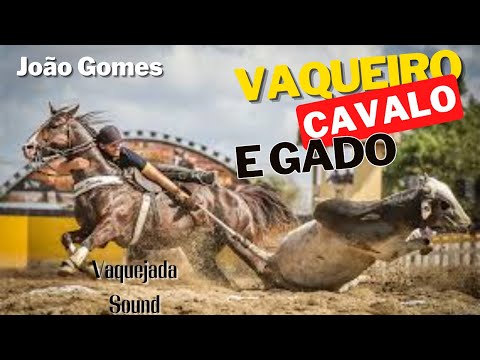 Vaqueiro Cavalo e Gado - João Gomes (Clipe Vaquejada)