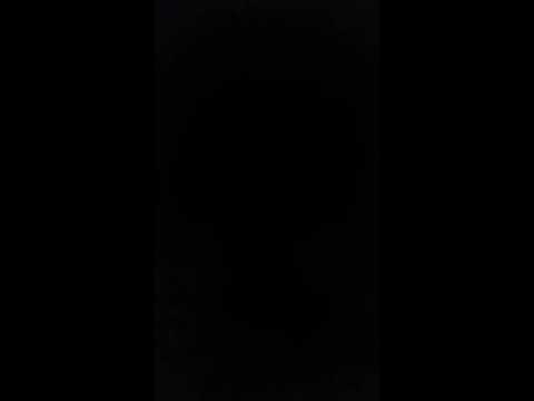 Young Skippy - Trap City