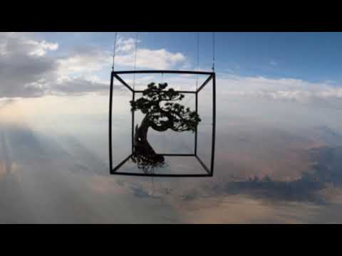 The Trophy 2021 - 'The colours of bonsai pots' by Thor Holvila