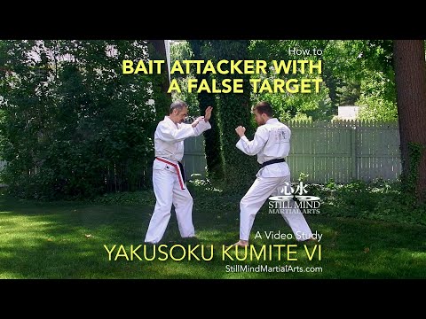 How to Bait an Attacker with a False Target – Yakusoku Kumite VI A Video Study