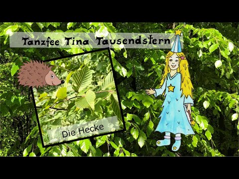 Die Hecke - Wissen für Kinder 🦔