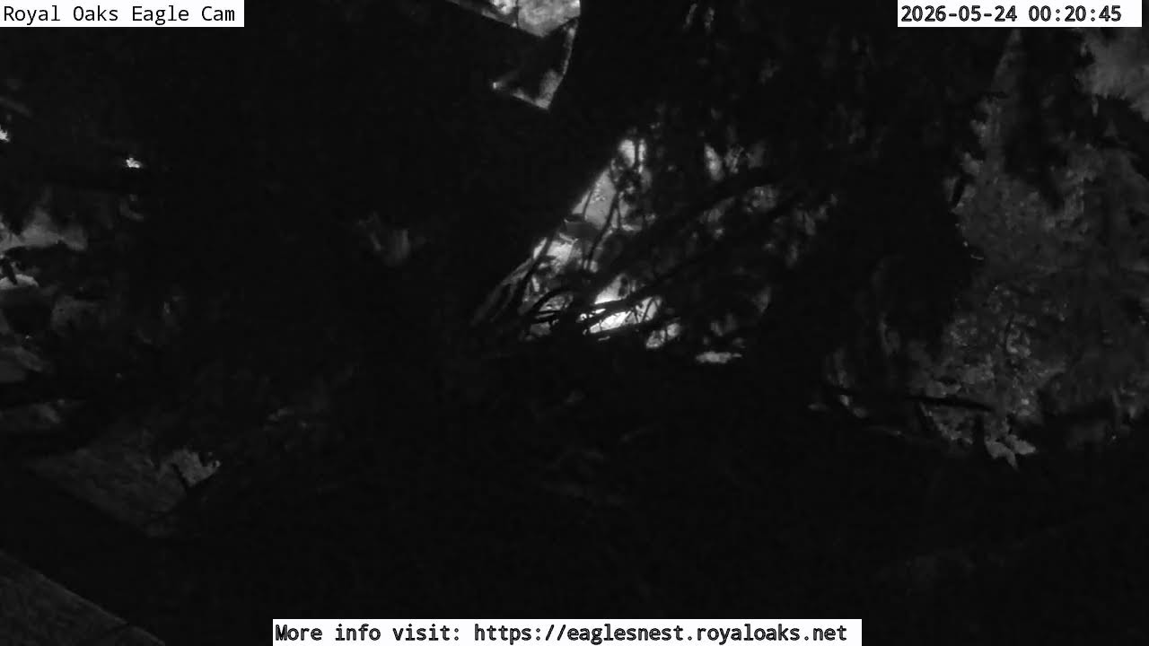 Royal Oaks Eagles Nest Live