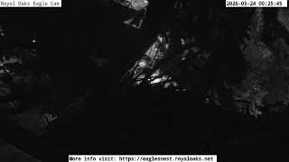 Royal Oaks Eagles Nest Live MQDEFAULT Thumbnail