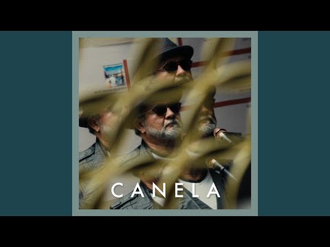 Canela (Duck Sessions)