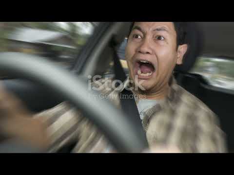 Buddy Learns to Drive  A Dog's Adventure 1080