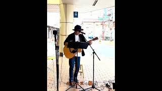 デューク東郷　ギター弾き語り　楓　スピッツカバー