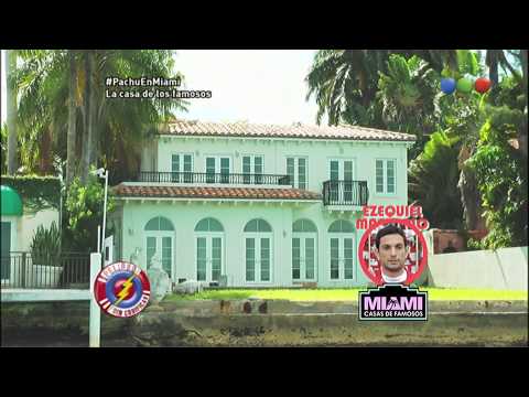 Pachu en Miami - Peligro Sin Codificar