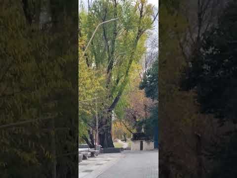 Otoño en Mina Clavero, Córdoba