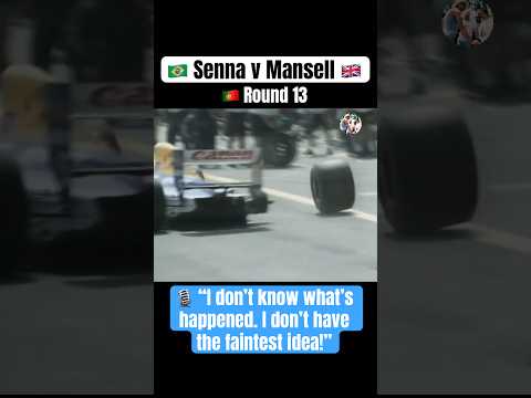 1991 Portuguese Grand Prix | Round 13/16