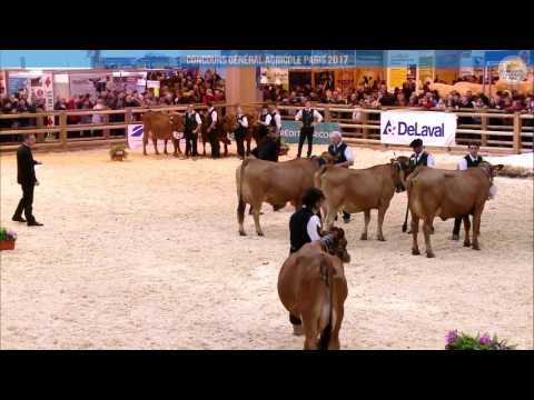 Voir la vidéo : Replay - Grand Ring | Mercredi 1 Mars CONCOURS TARENTAISE