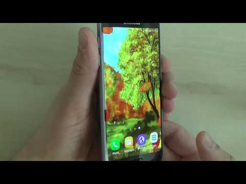 Autumn Leaf Fall Wallpaper Video