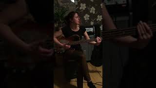 Mother´s Finest - Babylove (Basscover)