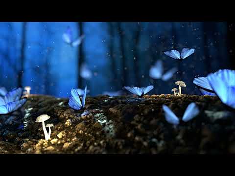 Susana & Dark Matters - Home (Daniel Kandi Retrofit Remix) [ FULL HD ]