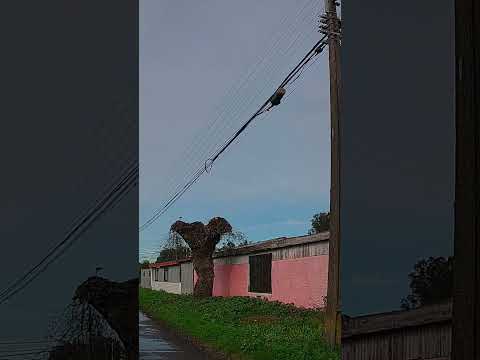 Talcahuano Streets | Denavisur: la historia que vive en sus calles