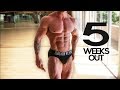 Road To WBFF Worlds | 5 Weeks Out | Weekly Update