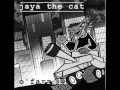 Jaya the Cat - Night Nurse 