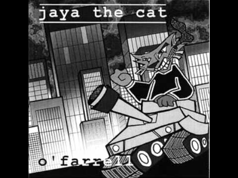 Jaya the Cat - Night Nurse