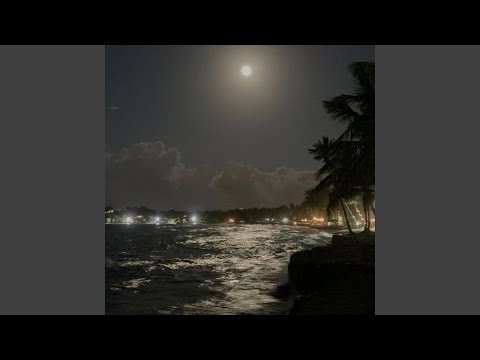 back in tokyo (feat. MON)