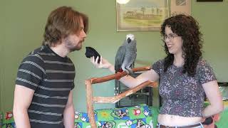How to Train a Talking Parrot